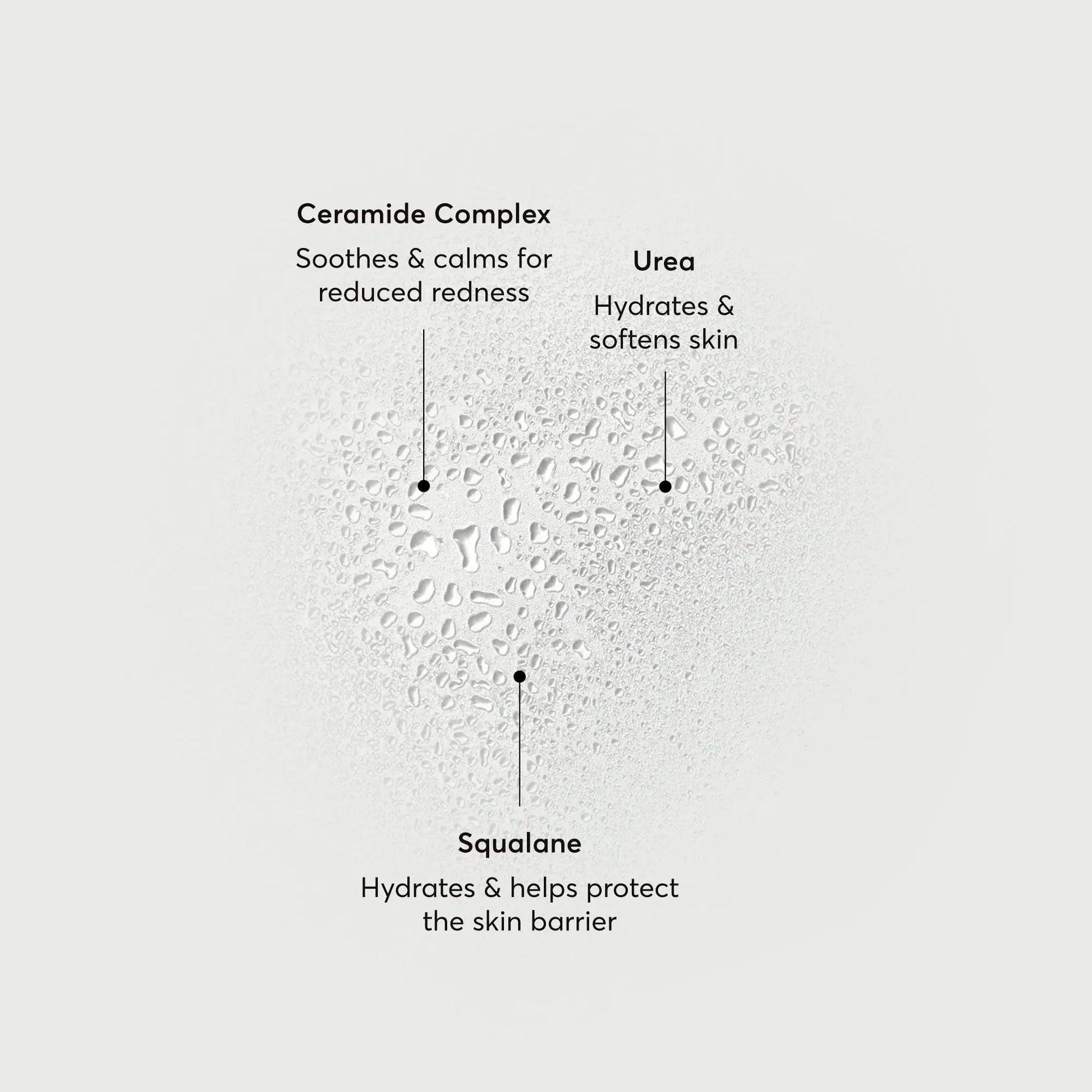 barrier-bounce-bi-phase-mist-s6 NATR-10167-Alt-Images-Barrier-Bounce-Bi-Phase-Toner-Mist_01.webp
