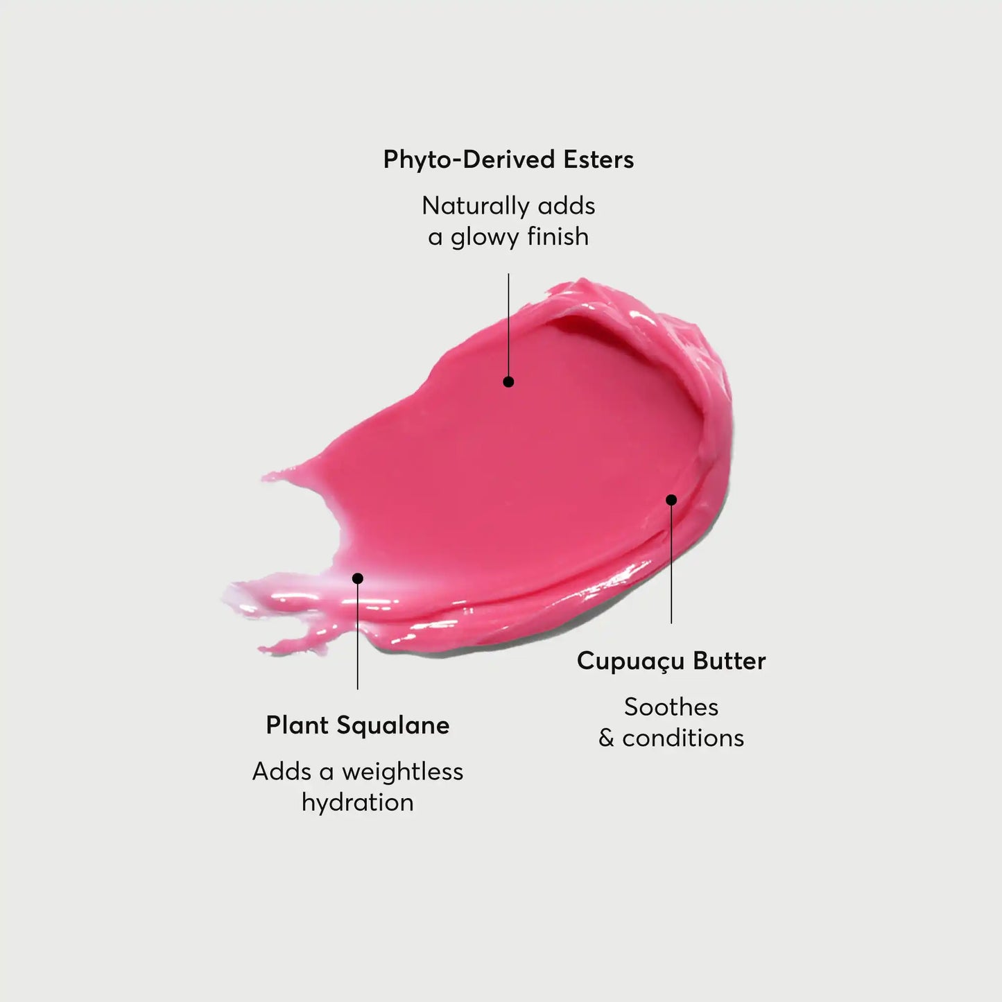 phyto-glow-lip-balm-camellia-e5 NATR-60075-Alt-Images-Phyto-Glow-Lip-Balm-Camellia-01.webp